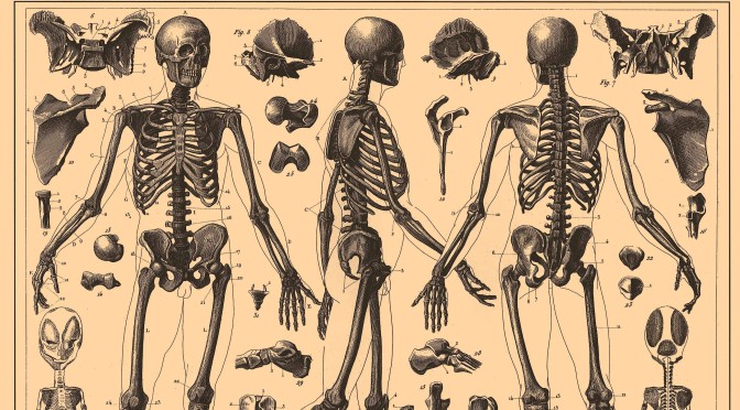 The Moo Pahl Dan Khum – A Musculo-Skeletal Analysis